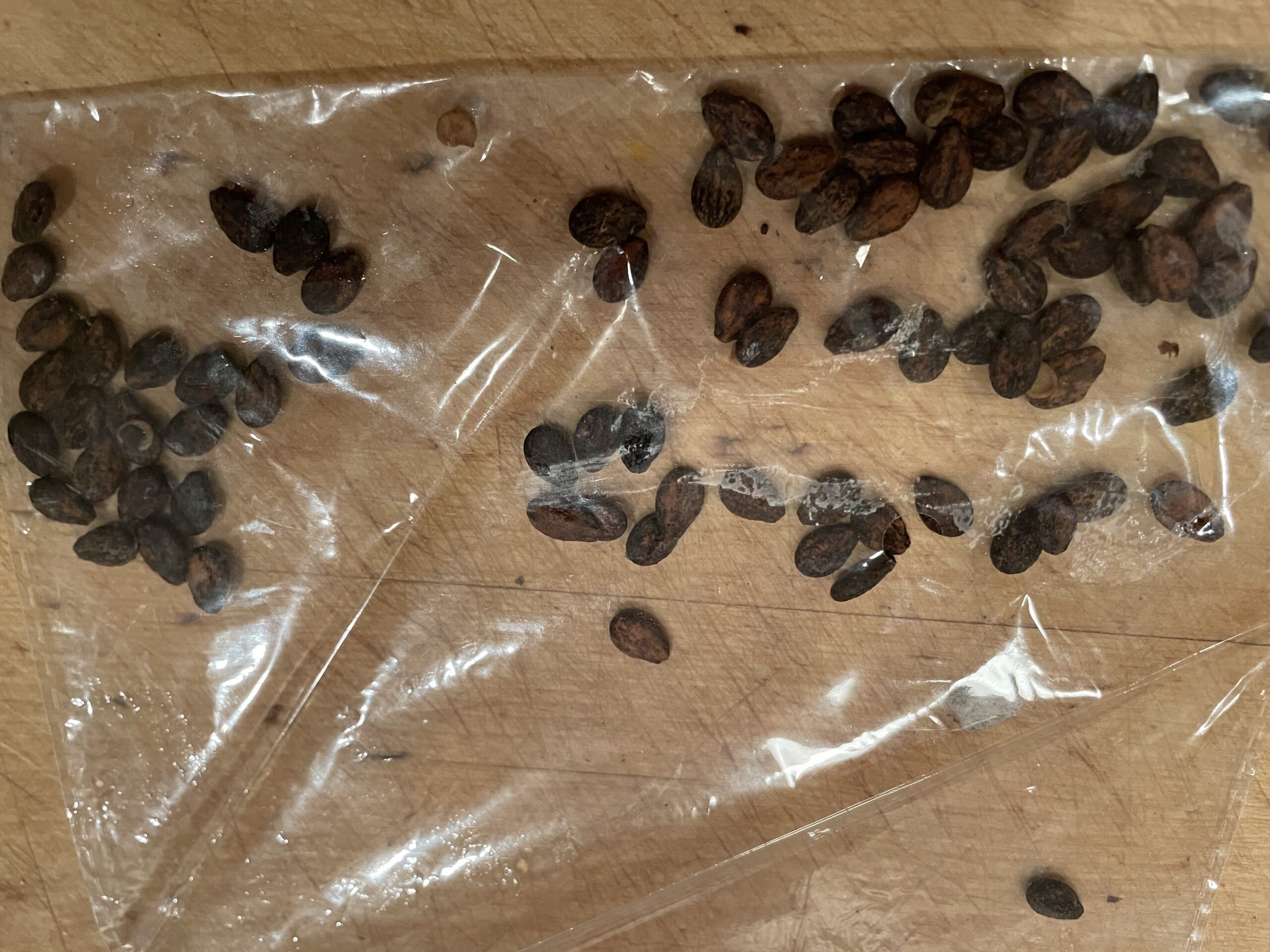PLANTING THE SEEDS