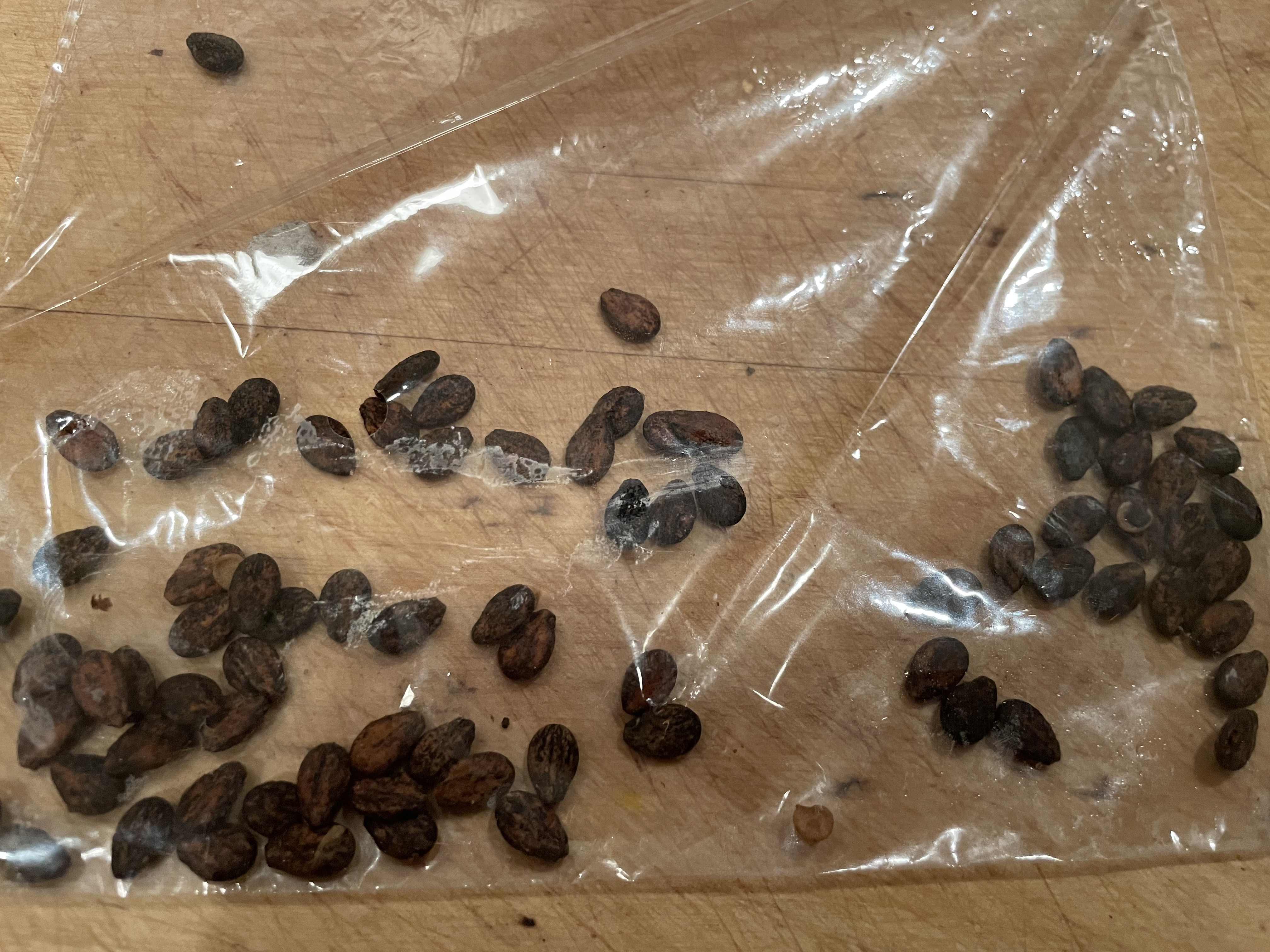 PLANTING THE SEEDS