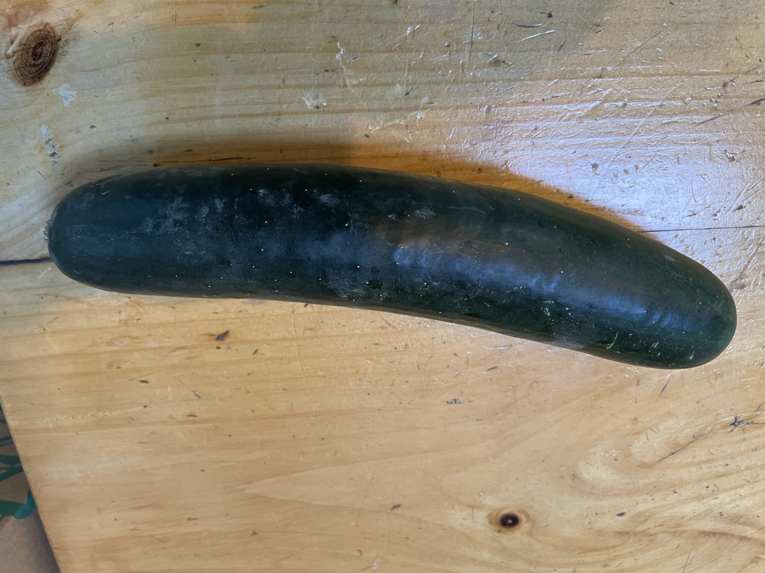 CUCUMBERS
