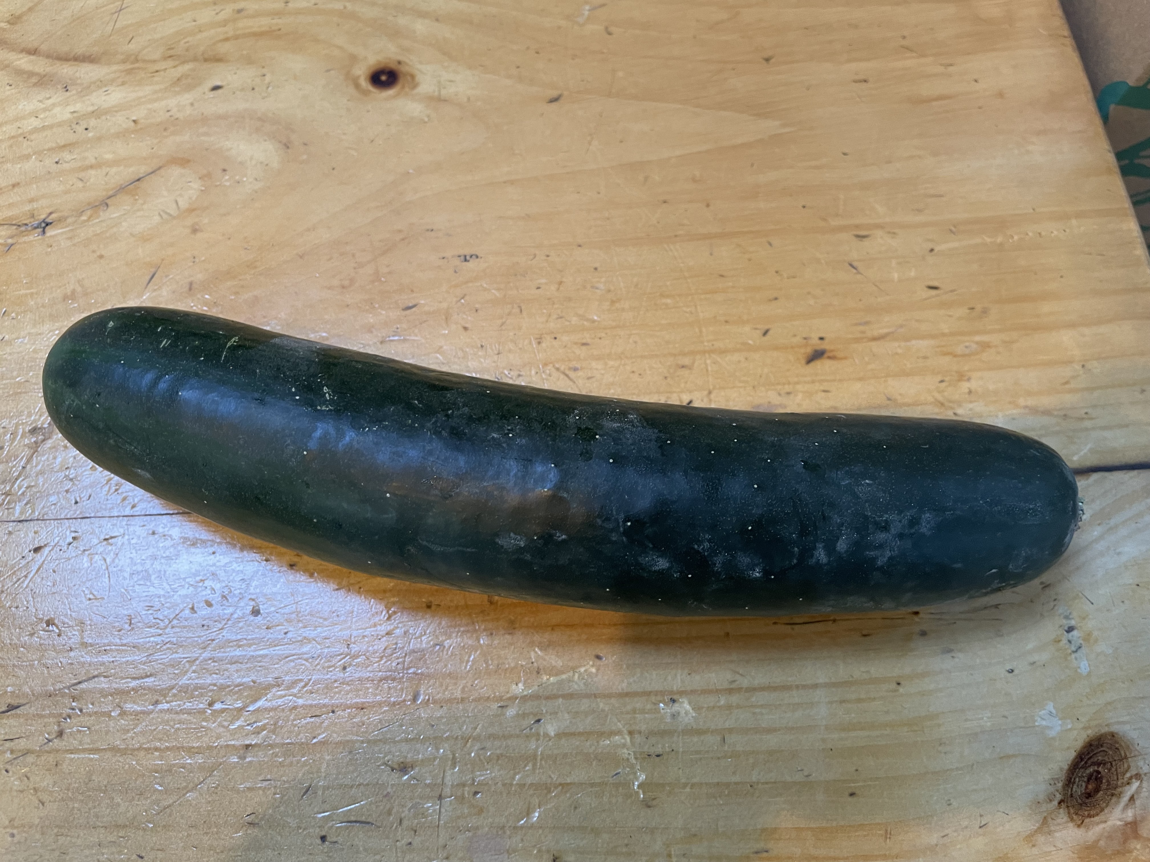 CUCUMBERS