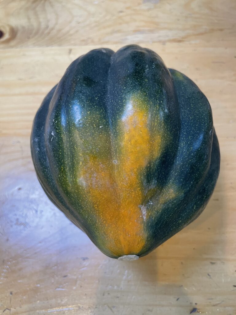 SQUASH