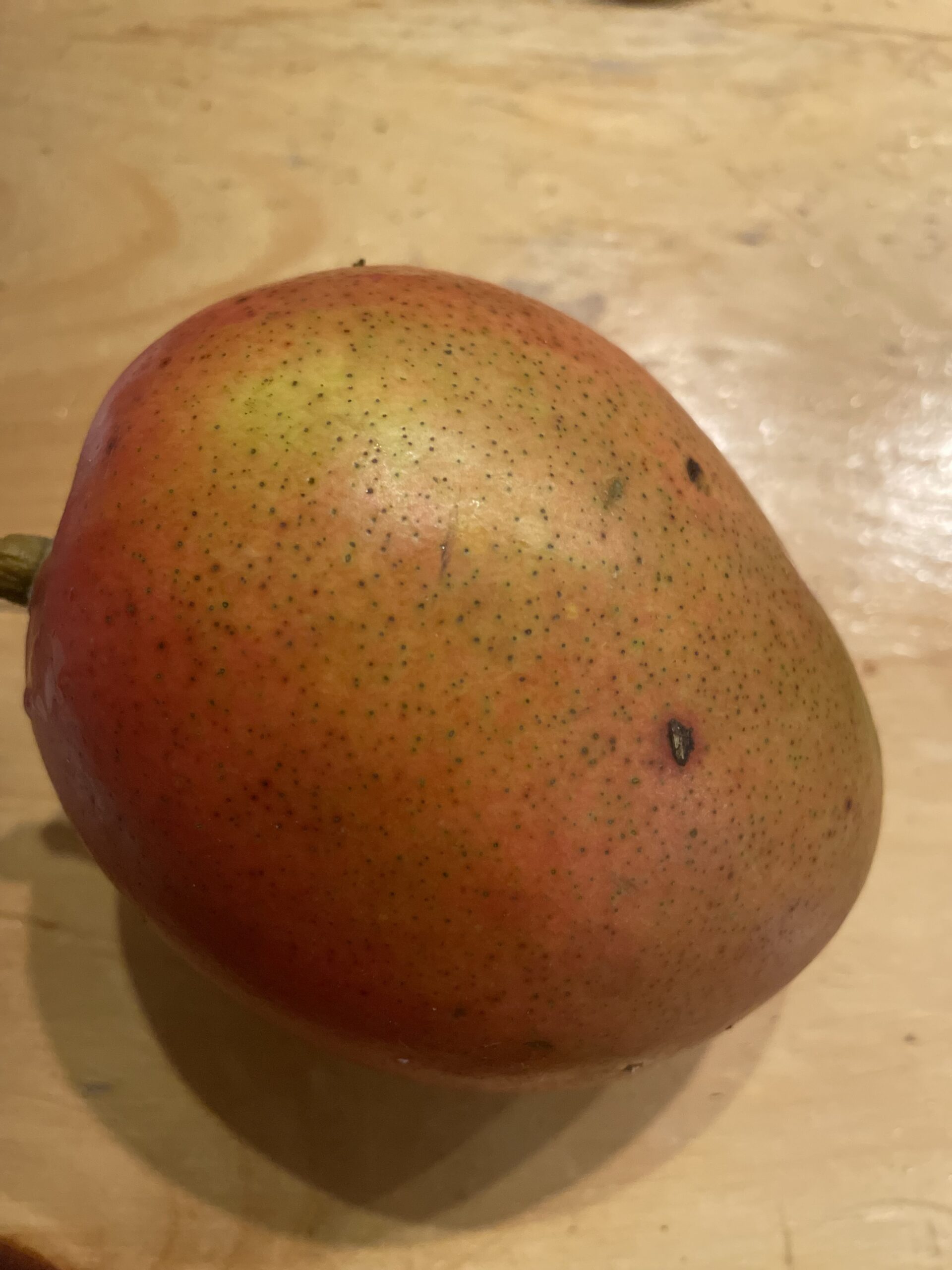 PLANTING MANGOS FROM SEEDS.