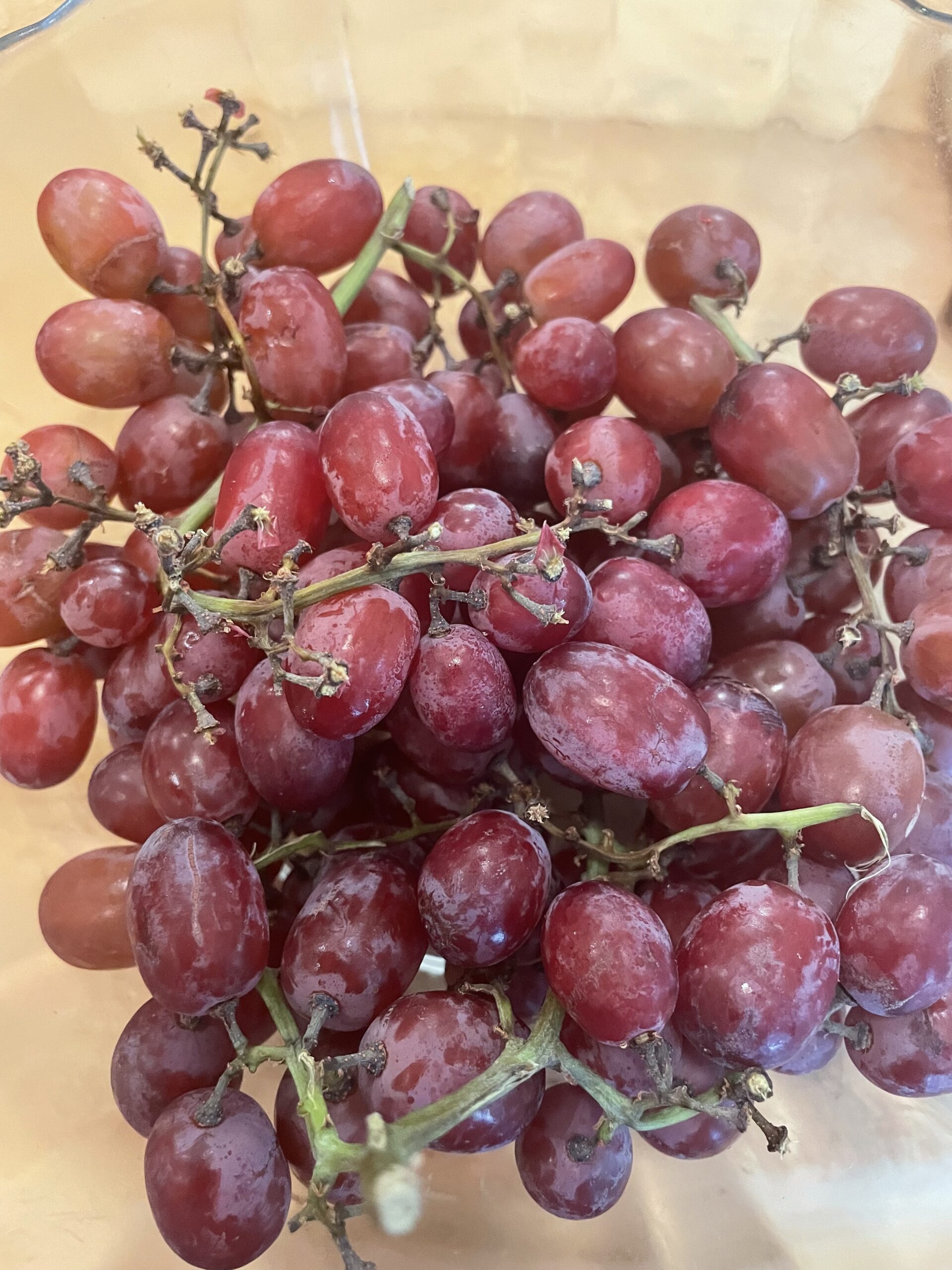 GROWING GRAPES FROM SEEDS