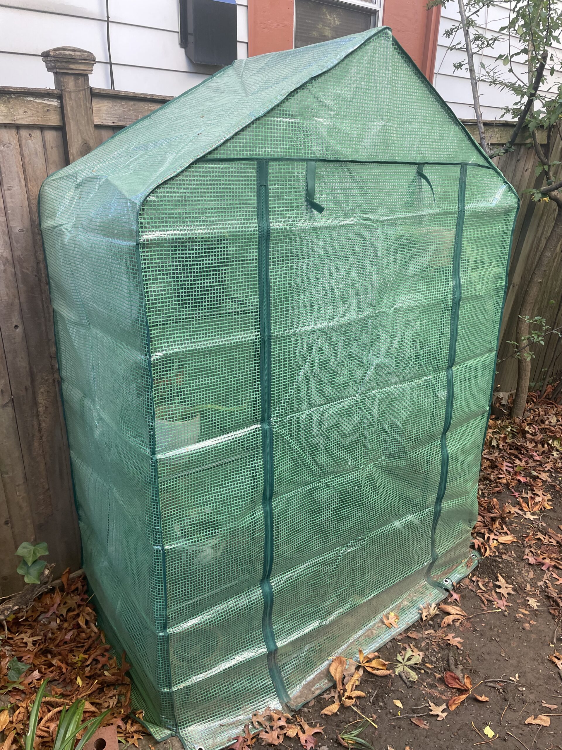 GREENHOUSE FOR YOUR PLANTS IN THE WINTER