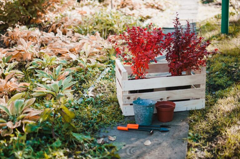 PREPARING YOUR GARDEN FOR THE WINTER
