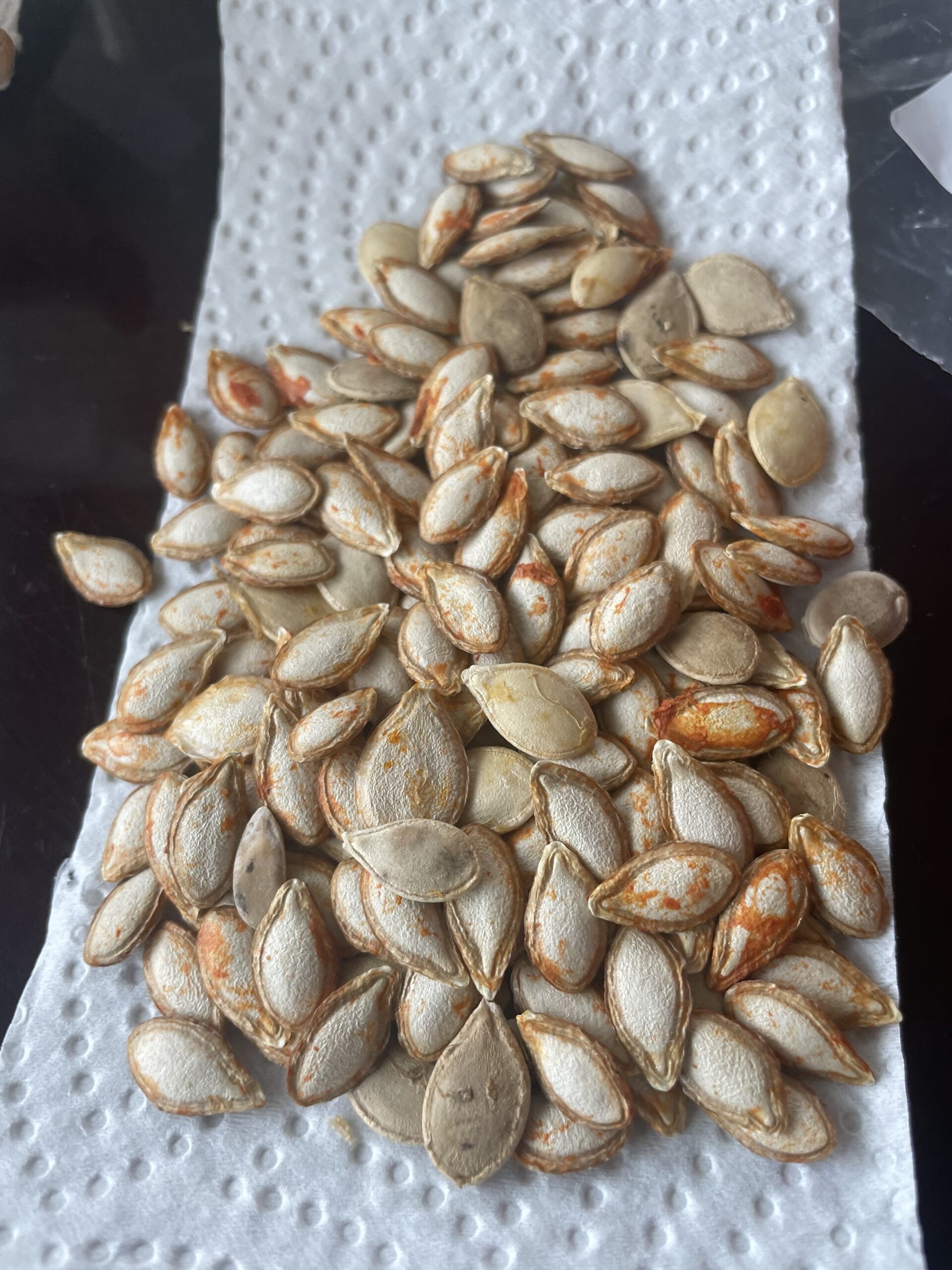 SAVING SEEDS DURING THE WINTER