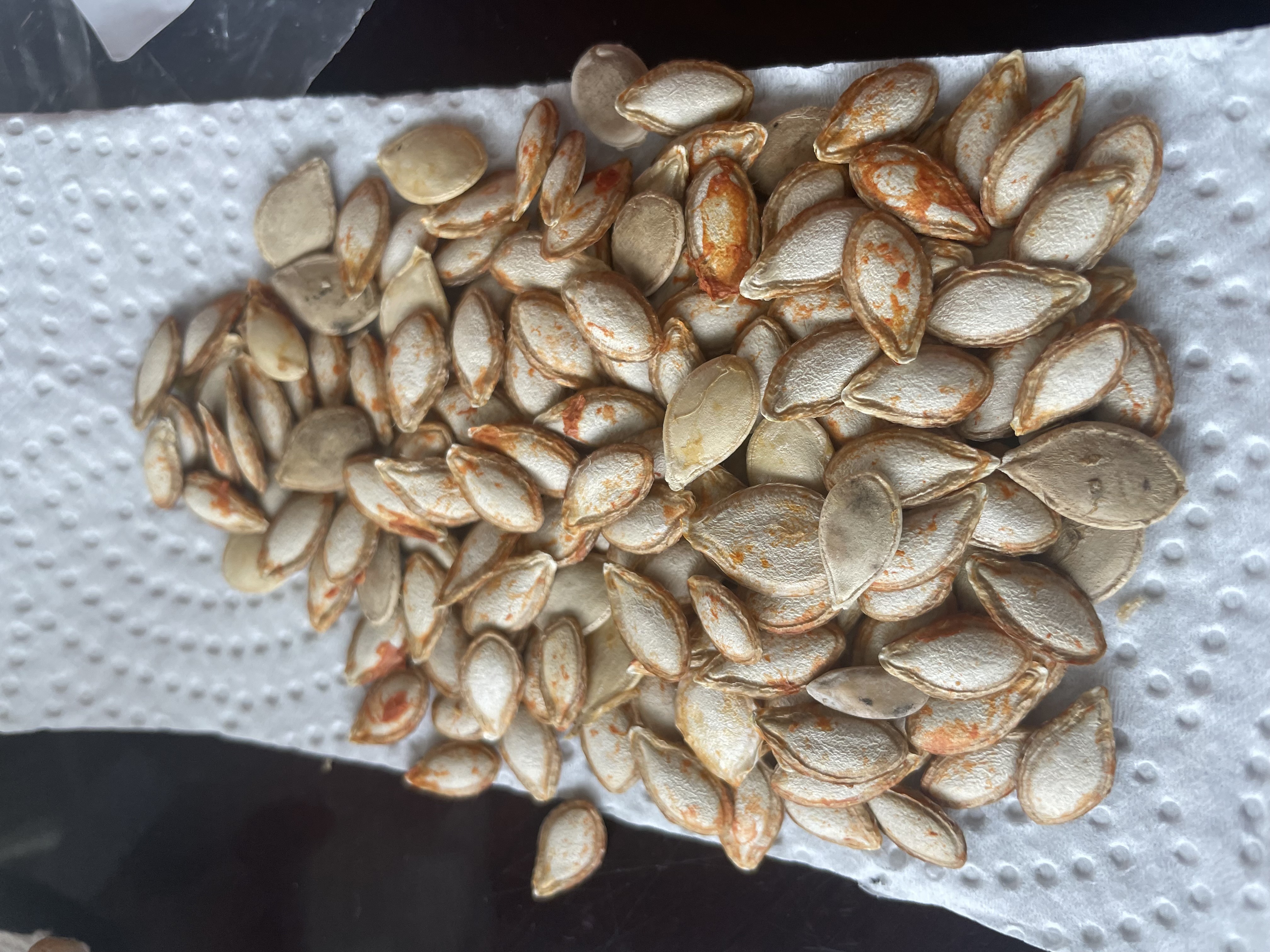 SAVING SEEDS DURING THE WINTER