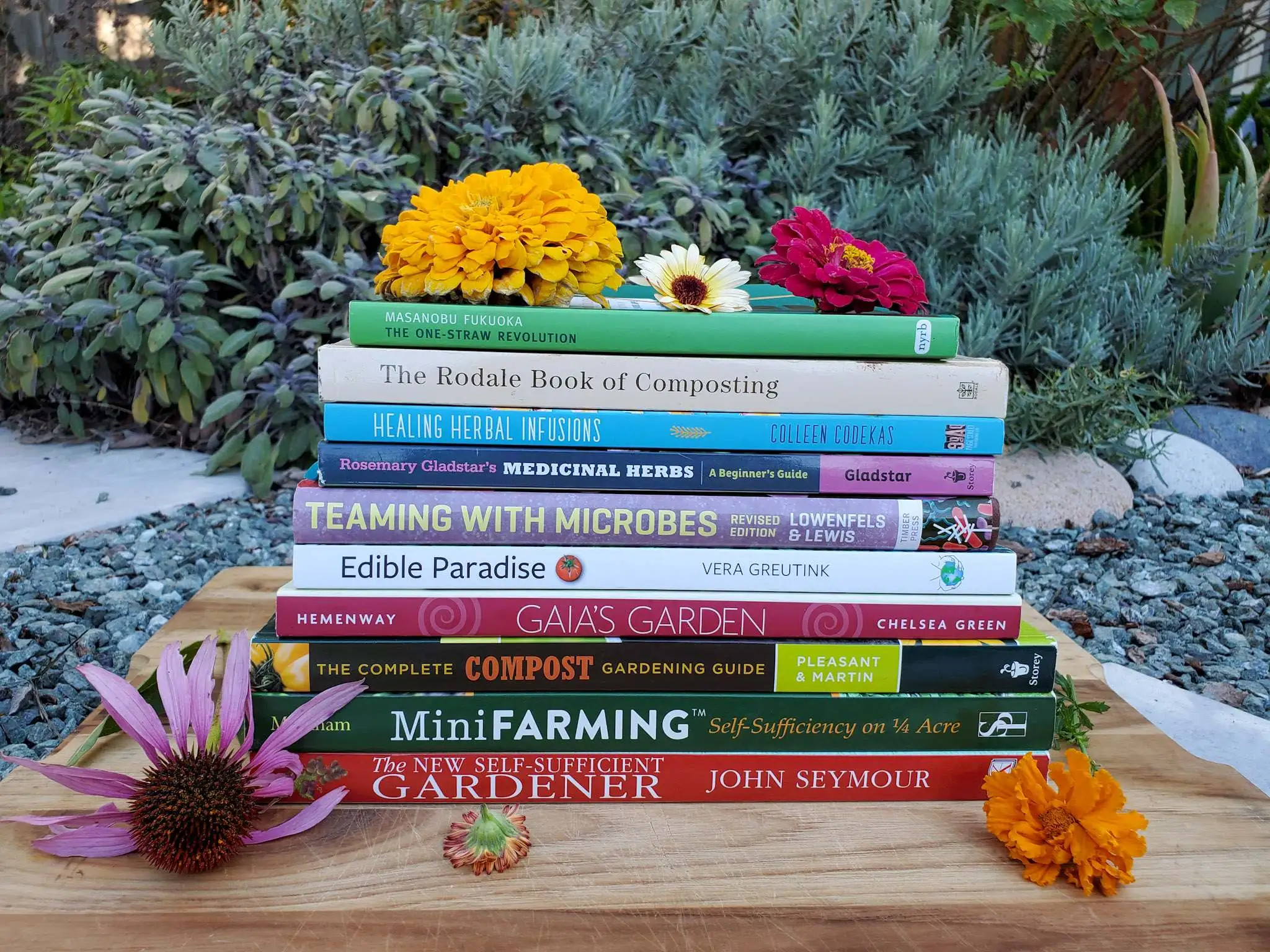 WHAT TO DO FOR YOUR GARDEN IN JANUARY