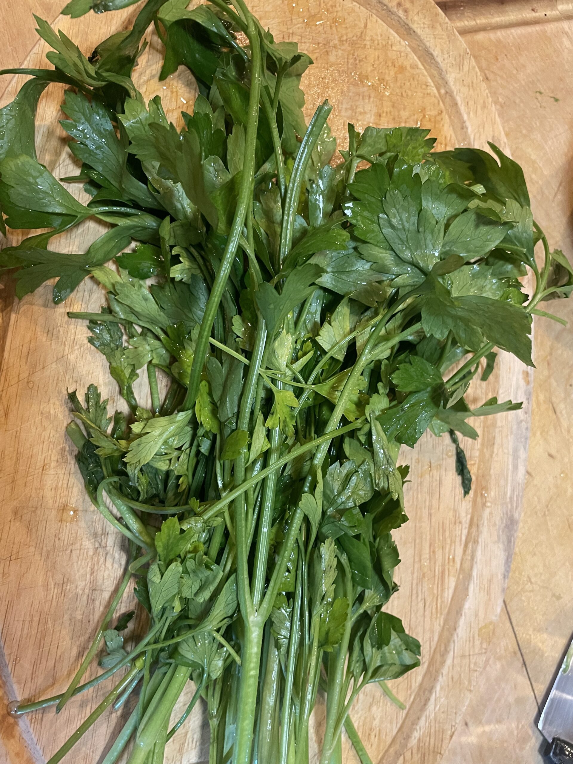 HERBS YOU CAN PLANT IN THE FALL