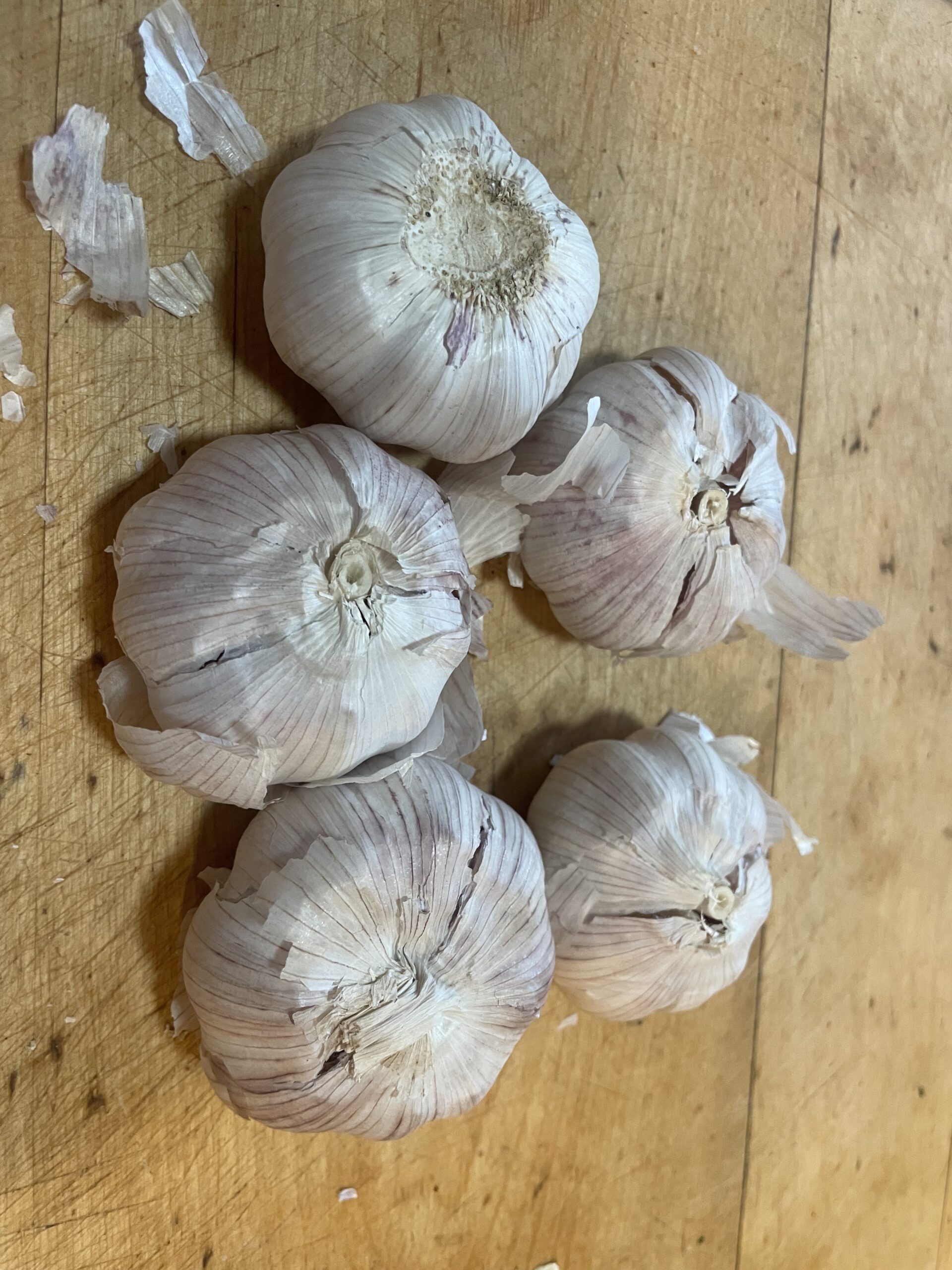 IT IS TIME TO PLANT GARLIC