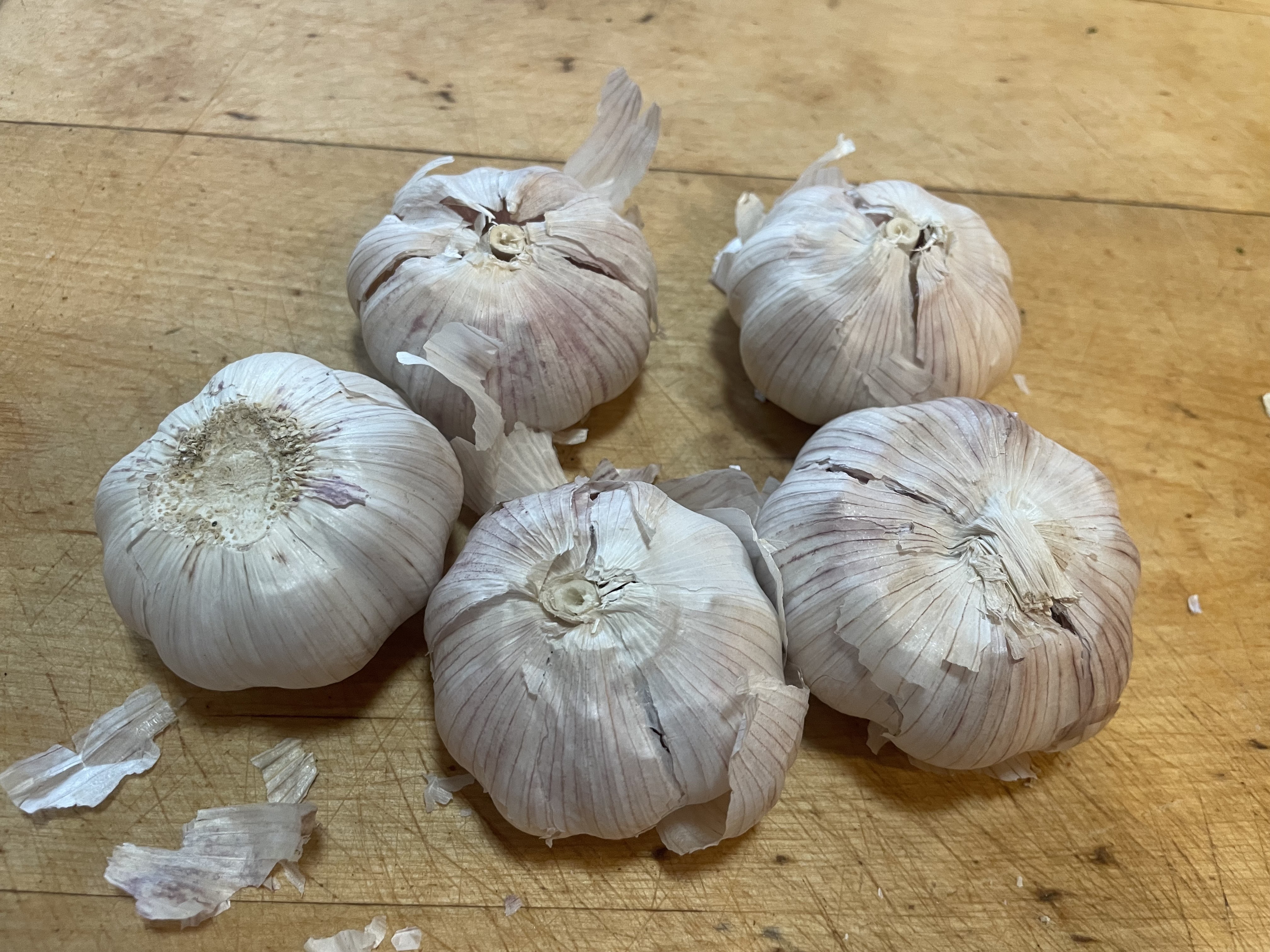 IT IS TIME TO PLANT GARLIC