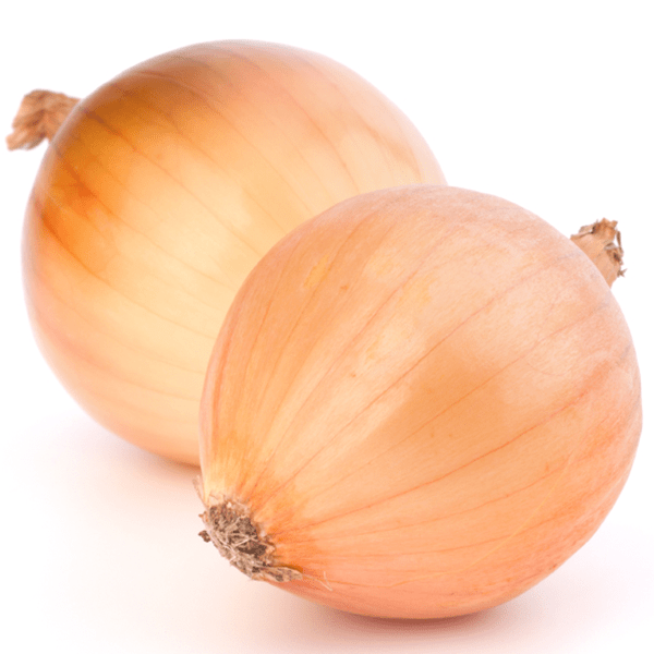 GROWING ONIONS IN A CONTAINER IN THE FALL