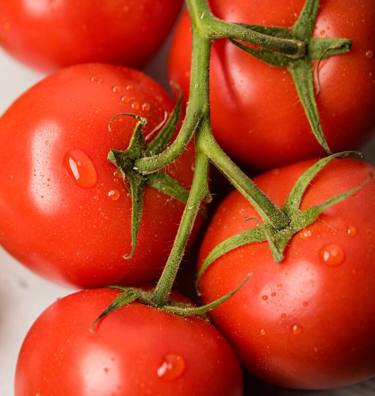 HOW TO GROW TOMATOES