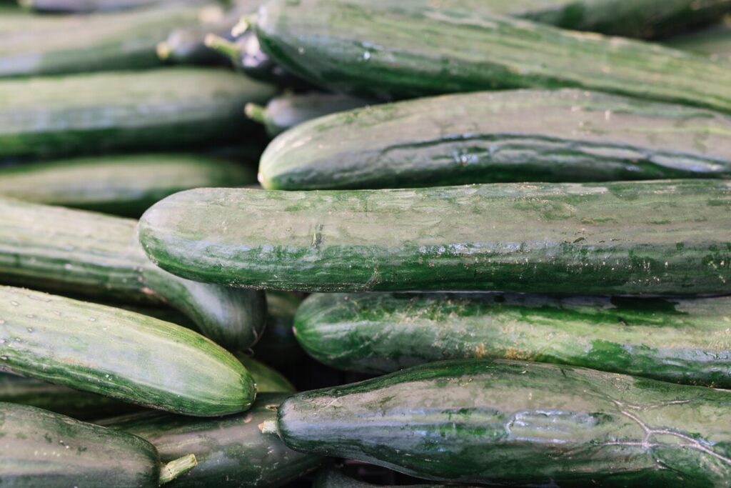 HOW TO GROW CUCUMBERS FROM SEEDS