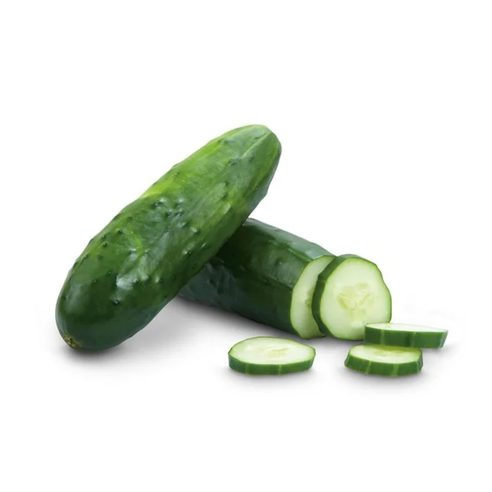 GROWING CUCUMBERS PLANTS FROM SEEDS