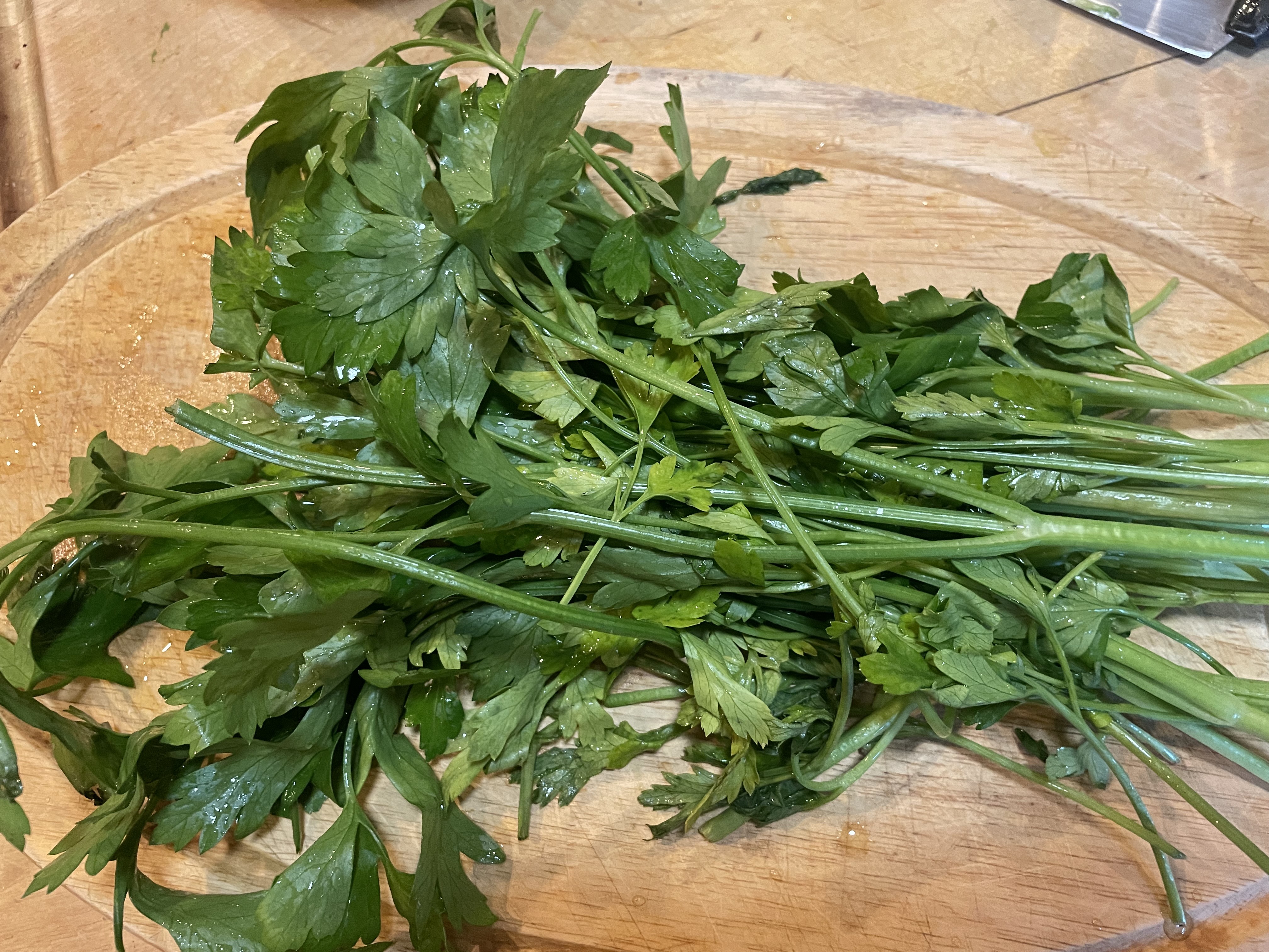 GROWING PARSLEY FROM SEEDS IN POTS