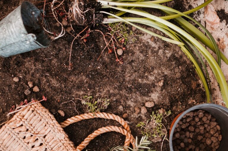 PREPARING YOUR GARDEN FOR WINTER