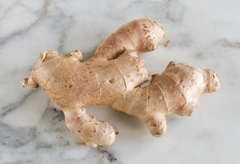 GROWING GINGER FROM A STORE BOUGHT GINGER ROOT TUBER