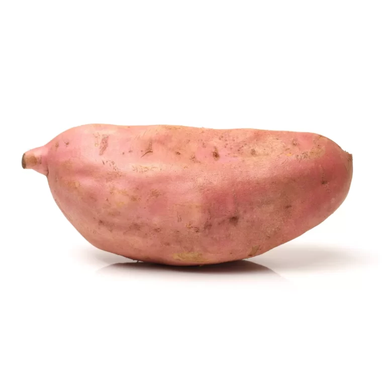 GROWING YAMS FROM YAMS