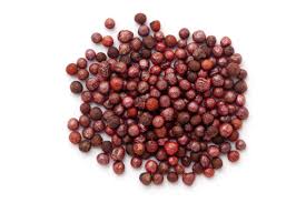Reddish-brown cabbage seeds ready for planting in a container.
